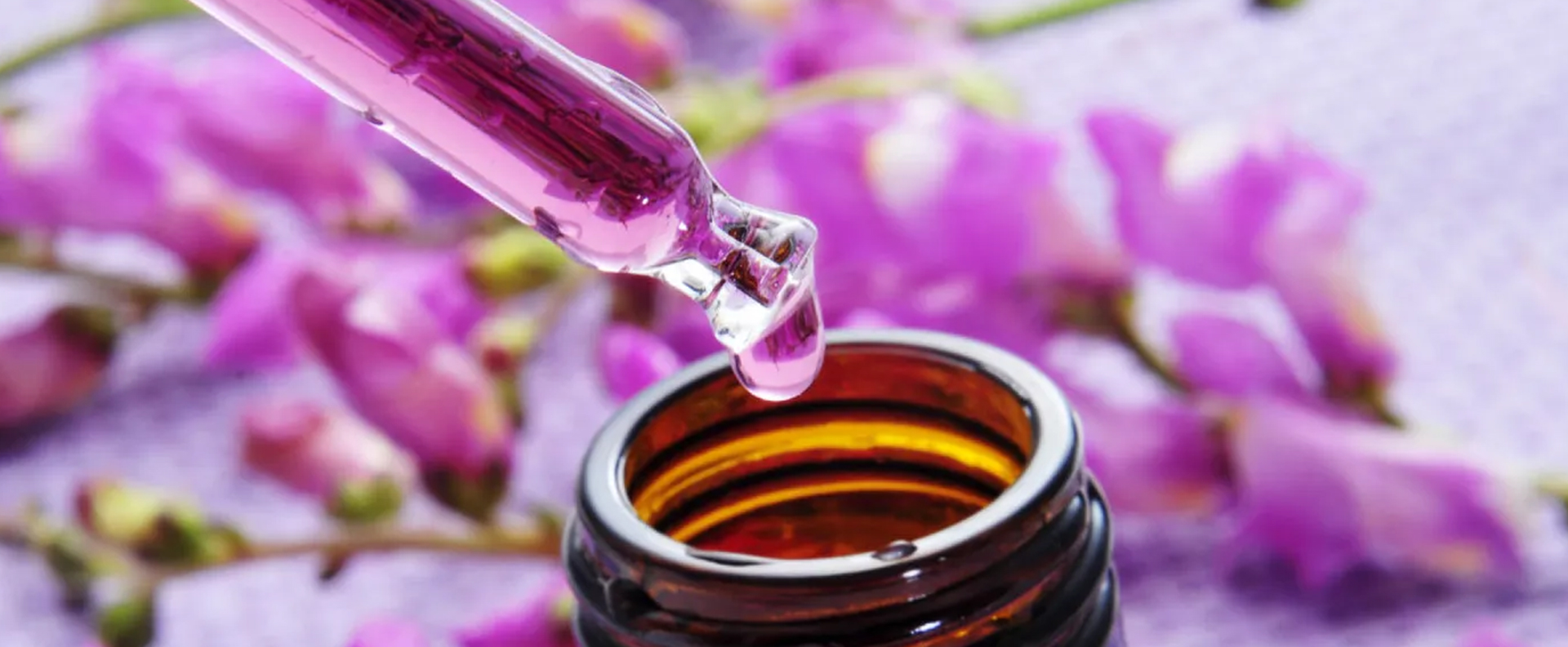 Ateliers Naturopathie Essonne