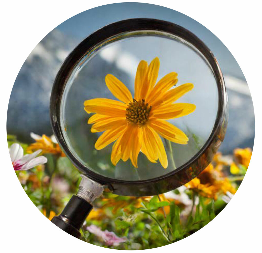 Pratique Naturopathe